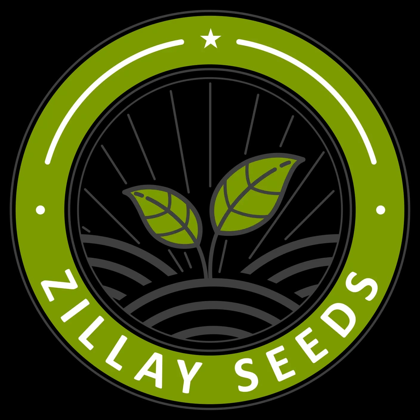 Zillay Seeds Pvt Ltd