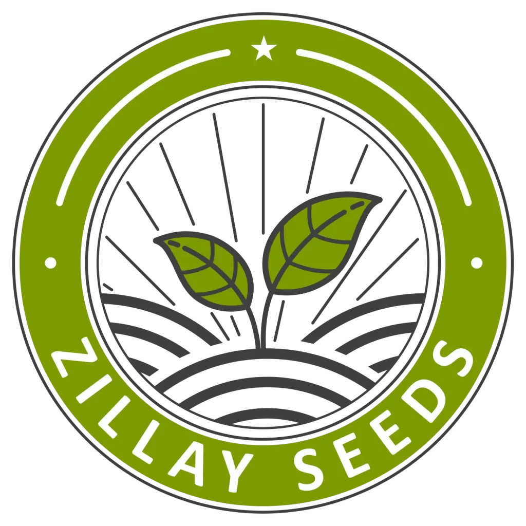 Zillay Seeds Company | Best Seed Dealer in Pakistan